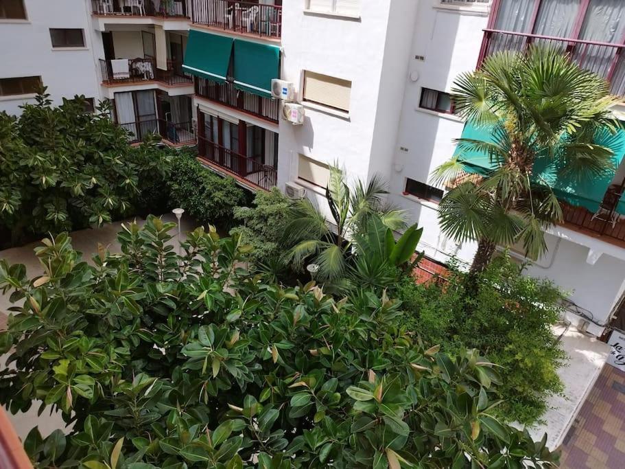 Cullera Mar Apartment Bagian luar foto